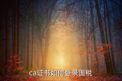 國稅登錄如何用ca登錄密碼是什么意思，國稅第一次網(wǎng)上申報(bào)的登陸密碼是什么