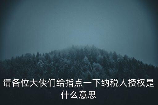納稅人獲得感是什么意思，請各位大俠們給指點(diǎn)一下納稅人授權(quán)是什么意思