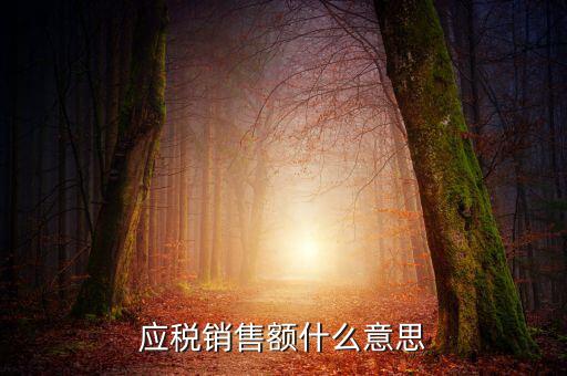 稅務(wù)銷售額是什么意思，年應(yīng)稅銷售額是什么意思