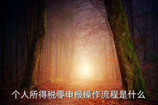 扣繳稅款登記主要流程是什么，納稅流程是怎樣的