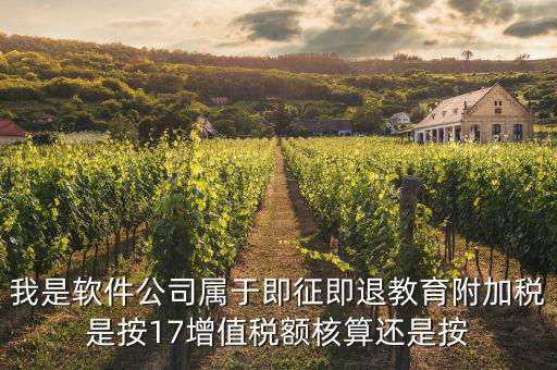 軟件企業(yè)交什么稅，軟件企業(yè)增值稅即征即退指的是什么