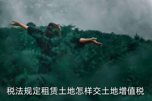 租用土地要交什么稅，土地租賃應該繳哪些稅收