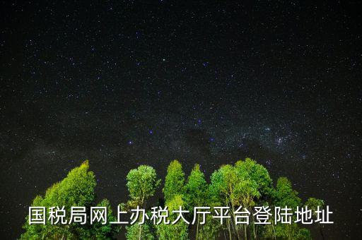 國稅網(wǎng)什么網(wǎng)站可以登錄，河北國稅網(wǎng)上辦稅服務(wù)廳用戶登錄地址