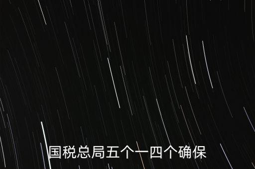 稅務(wù)局五個(gè)一是什么時(shí)候，國(guó)稅總局五個(gè)一四個(gè)確保