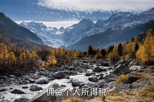 傭金繳納什么稅，傭金個人所得稅