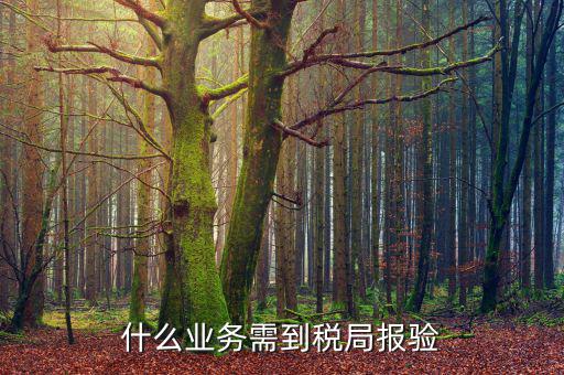 外出經(jīng)營(yíng)報(bào)驗(yàn)是什么，什么業(yè)務(wù)需到稅局報(bào)驗(yàn)