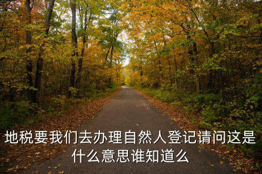 辦稅自然人登記是什么意思，申請人為自然人的是什么意思
