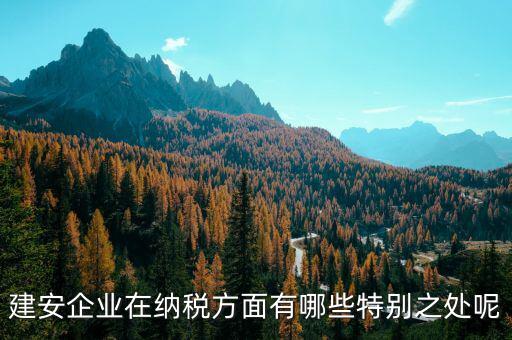 建安企業(yè)申報是什么，做消防工程開具建安發(fā)票的公司申報是地稅還是國稅啊還是兩個都