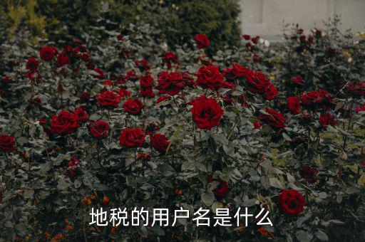 地稅登錄子賬號是什么，地稅的用戶名是什么