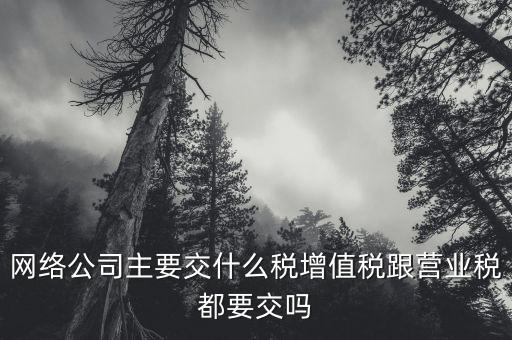 互聯(lián)網(wǎng)企業(yè)交什么稅，互聯(lián)網(wǎng)公司在稅收上有何政策