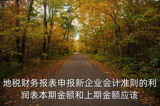 地稅利潤表的上期金額指什么，新會(huì)計(jì)制度下利潤表中本期金額和上期金額是什么意思
