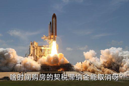 契稅什么時候扣掉，國稅和地稅繳稅期限是什么時候