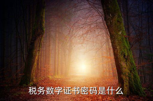 湖北地稅ca登錄密碼是什么意思，地稅CA證書如何解密碼