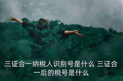三證合一后稅號(hào)是什么，三證合一納稅人識(shí)別號(hào)是什么 三證合一后的稅號(hào)是什么