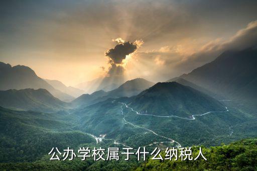 公辦學校屬于什么納稅人