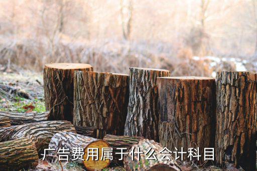 廣告宣傳費(fèi)屬于什么費(fèi)用，宣傳費(fèi)計(jì)入什么科目