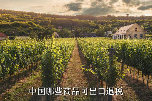 什么貨物出口可以退稅，中國哪些商品可出口退稅