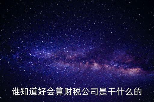 誰知道好會(huì)算財(cái)稅公司是干什么的
