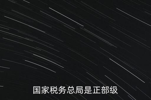 稅務(wù)大廳主任什么級別，金河鎮(zhèn)稅務(wù)務(wù)局局長是什么級別