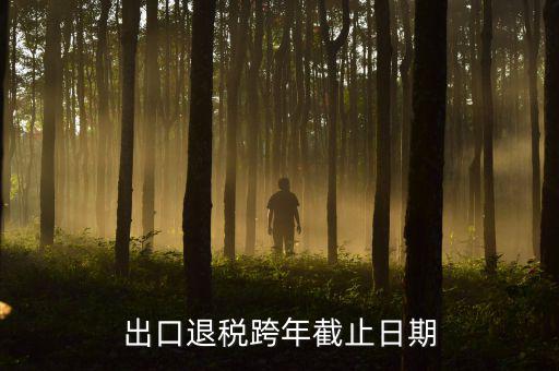 出口退免稅認(rèn)定日期是什么時候，出口退稅跨年截止日期