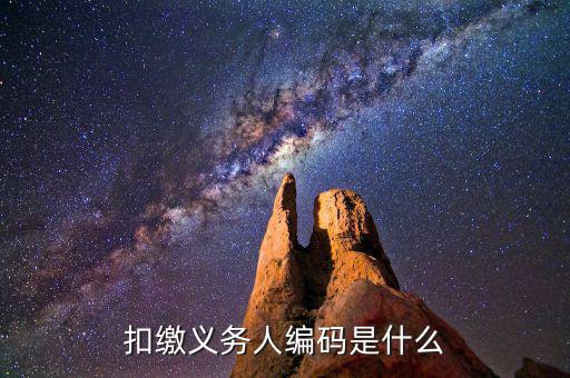 個稅系統(tǒng)扣繳義務(wù)人編碼是什么，扣繳義務(wù)人編碼是什么