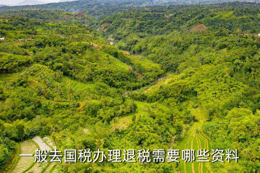 稅務(wù)局退稅要什么手續(xù)，一般去國(guó)稅辦理退稅需要哪些資料