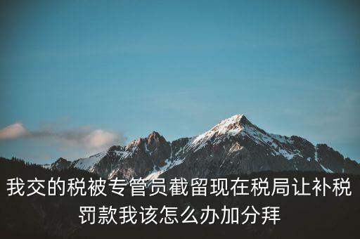 稅務(wù)人員截留稅款受什么處分，我交的稅被專管員截留現(xiàn)在稅局讓補稅罰款我該怎么辦加分拜