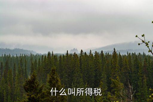 居民企業(yè)所得稅是什么，居民企業(yè)所得稅月度預(yù)繳納稅申報收入指什么時候的