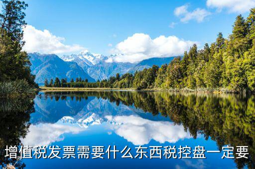 發(fā)票打印需要什么盤，調(diào)試打印增值稅發(fā)票的打印機(jī)要插入金稅盤嗎