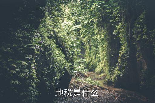 地稅初心是什么，初心使命指的是什么