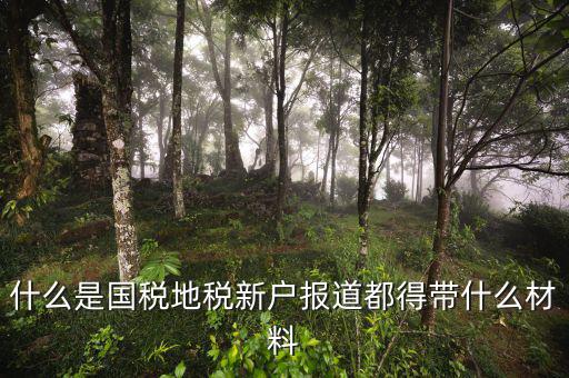 國(guó)地稅報(bào)道是什么意思，什么是國(guó)稅地稅新戶報(bào)道都得帶什么材料