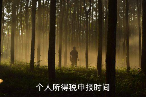 代扣代繳的個(gè)稅什么時(shí)候申報(bào)，個(gè)人所得稅申報(bào)時(shí)間