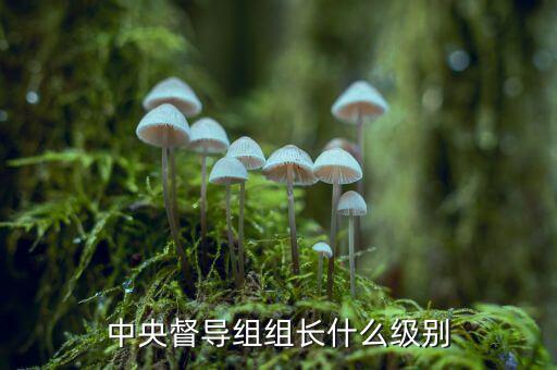 稅務(wù)督導組組長什么級別，縣委縣政府督察組組長行政級別具體工作是什么