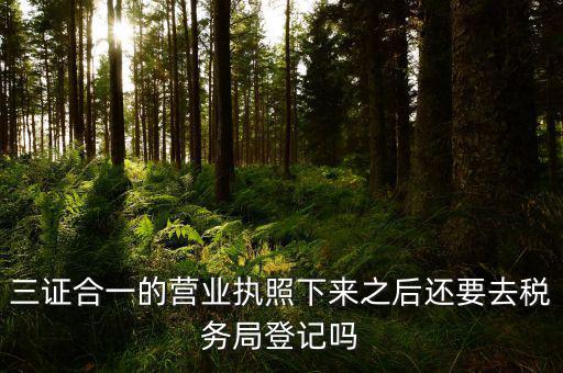 辦完三證合一 要去稅局做什么，三證合一后還需要去國地稅做些什么啊