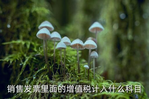 發(fā)票稅金入什么科目，開票稅金計入什么科目
