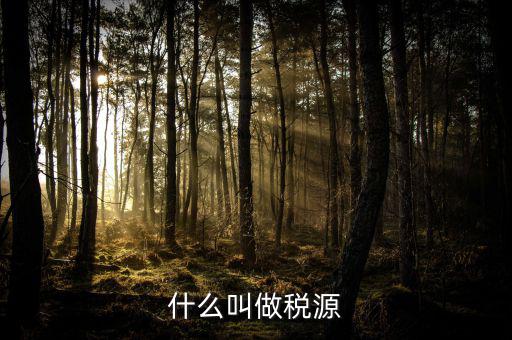 稅源標志是什么，什么叫做稅源