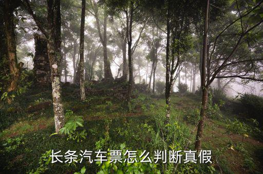 長(zhǎng)條國(guó)稅車票什么樣子，國(guó)稅長(zhǎng)途汽車票什么樣