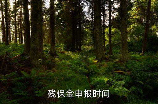 2016殘保金什么時(shí)候交，殘保金是一年一交嗎