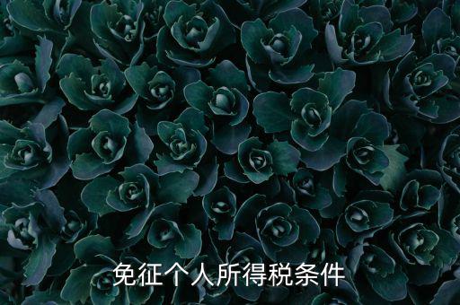 四業(yè)免征個(gè)人所得稅有什么要求，個(gè)人所得稅減免稅有哪些要求