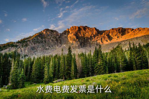 水電費是什么發(fā)票，水費電費發(fā)票是什么