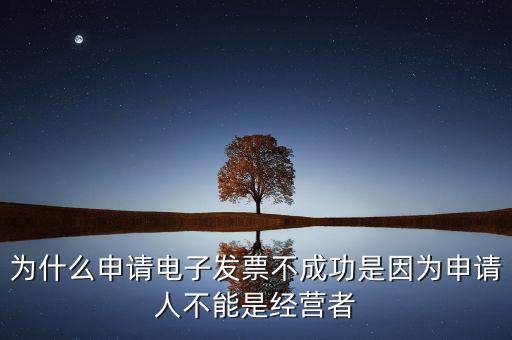 發(fā)票網(wǎng)上申領失敗什么原因，電子發(fā)票網(wǎng)上申領結果是2