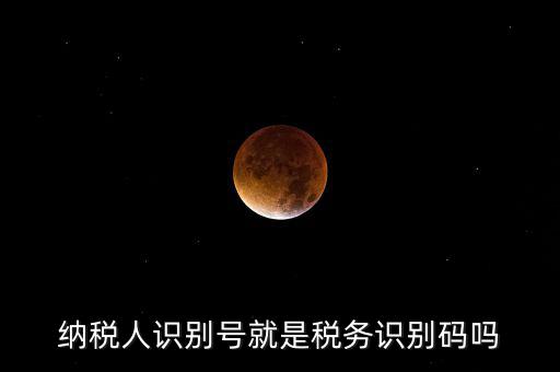 稅務(wù)標(biāo)識符是什么意思，納稅人識別碼是什么