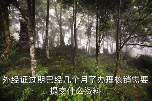 外經(jīng)證過(guò)期已經(jīng)幾個(gè)月了辦理核銷需要提交什么資料