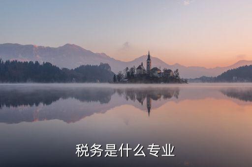 中文專業(yè)和稅務(wù)專業(yè)沒什么關(guān)系啊，稅務(wù)專業(yè)有哪些相近專業(yè)