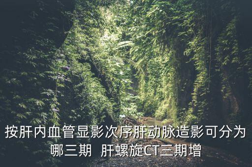 為什么要做三期增強(qiáng)，按肝內(nèi)血管顯影次序肝動(dòng)脈造影可分為哪三期  肝螺旋CT三期增