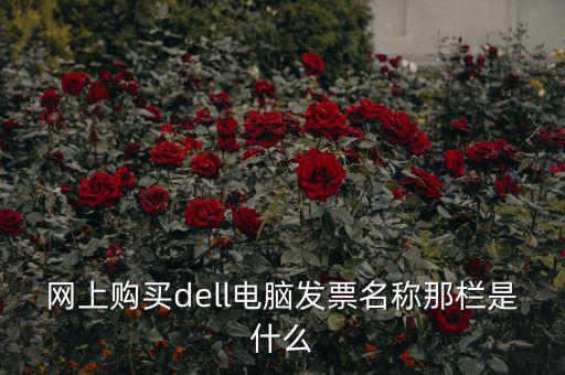 網(wǎng)上購(gòu)買(mǎi)dell電腦發(fā)票名稱那欄是什么