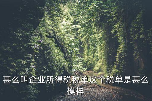 企業(yè)所得稅稅單是什么，稅單是什么怎樣提供稅單