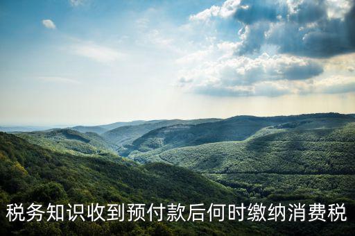 消費稅是什么時候交，各種稅費交納時間
