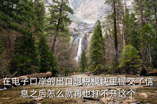 為什么退稅平臺(tái)進(jìn)不去，在電子口岸的出口退稅模塊里提交了信息之后怎么就再也打不開這個(gè)