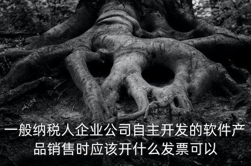 賣軟件交什么稅，一般納稅人企業(yè)公司自主開(kāi)發(fā)的軟件產(chǎn)品銷售時(shí)應(yīng)該開(kāi)什么發(fā)票可以